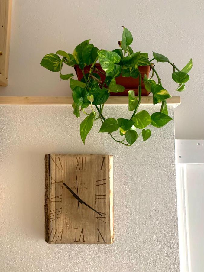 Elicriso Home Porto Torres Dış mekan fotoğraf